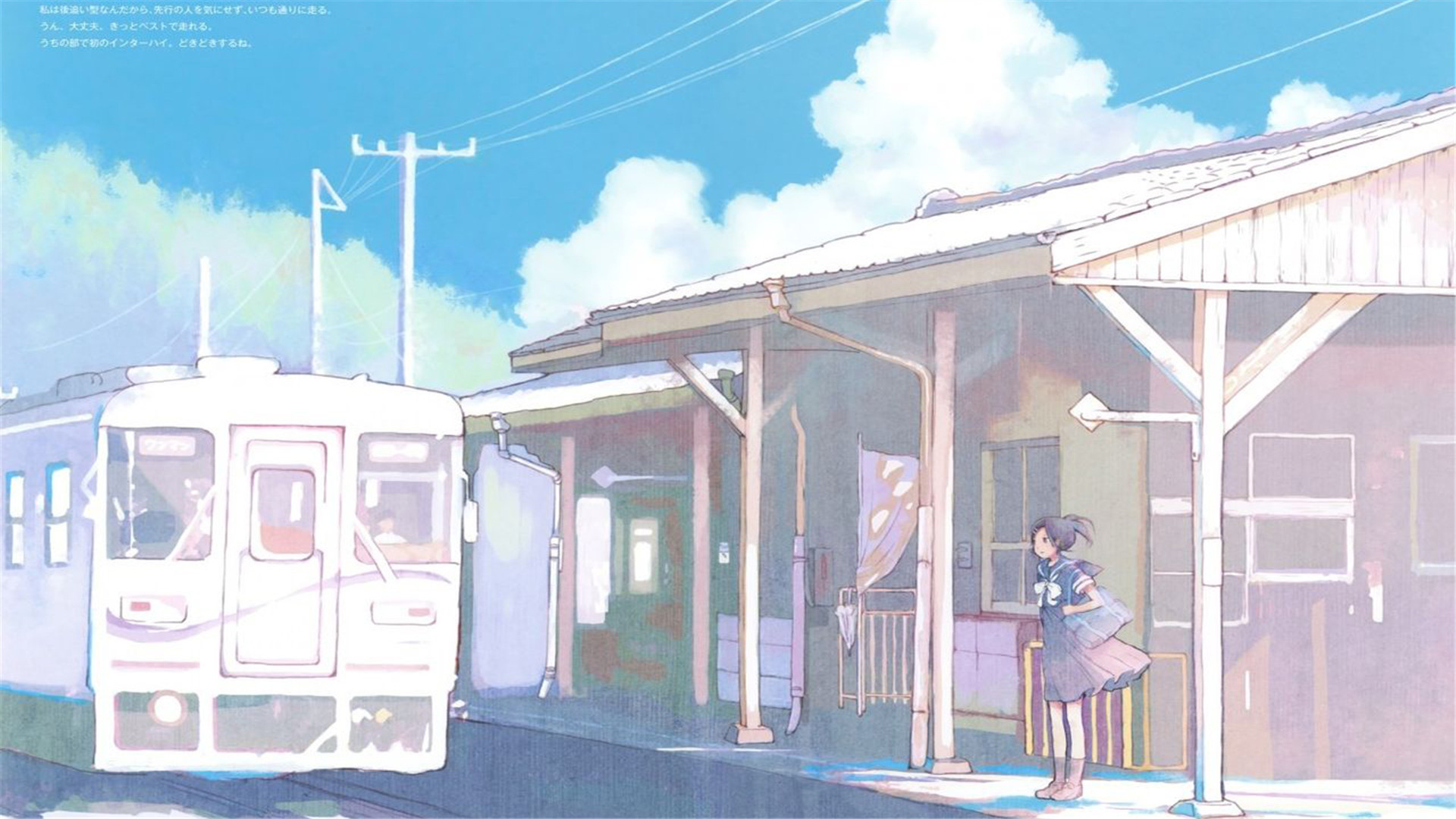 白茶少年